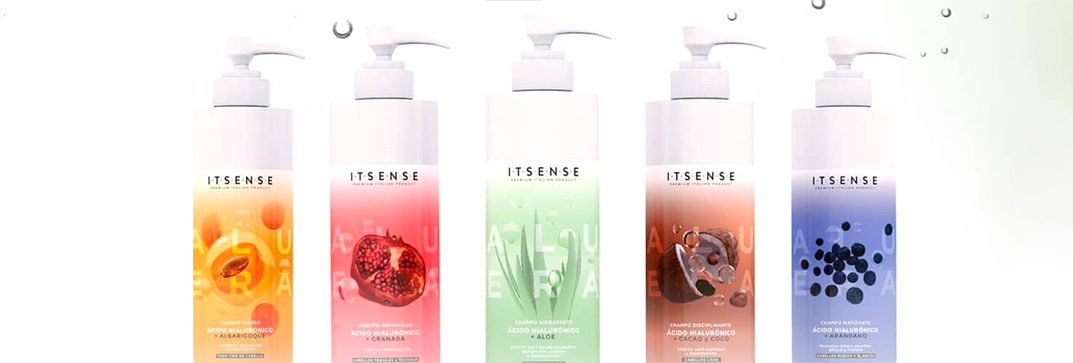 ITSENSE banner prieto