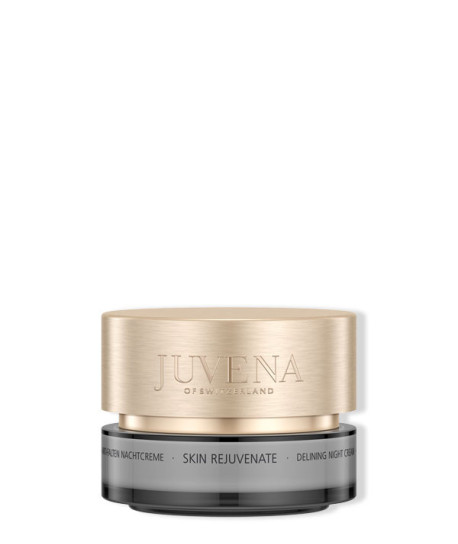 SKIN REJUVENATE DELINING NIGHT CREAM