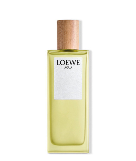 LOEWE AGUA