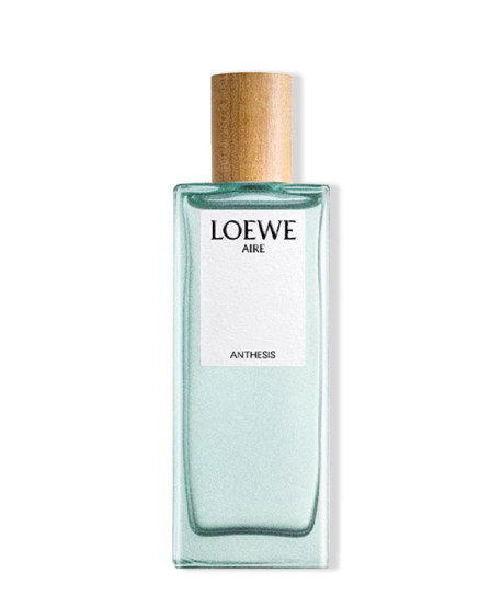 LOEWE AIRE ANTHESIS