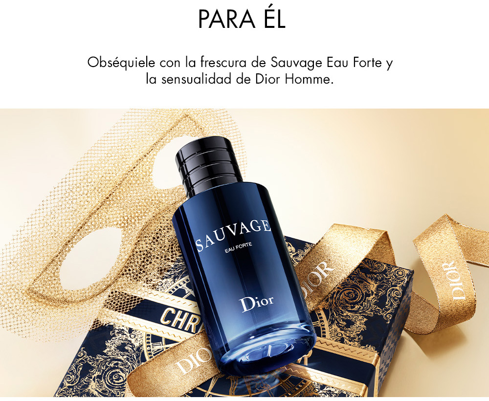 DIOR XMAS 2024 - Perfumes Masculinos