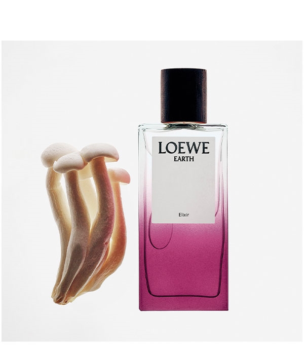 LOEWE EARTH ELIXIR