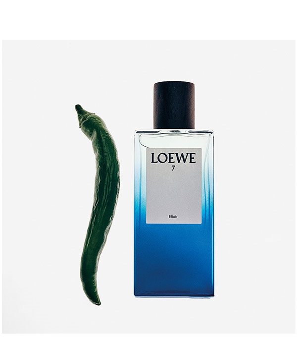 LOEWE 7 ELIXIR